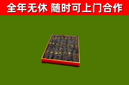 呼图壁县回收海参